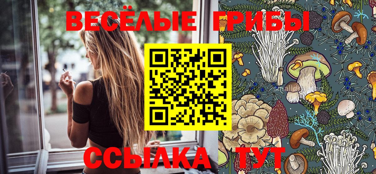 Псилоцибиновые грибы ЛСД  Галлюциногенные грибы MAGIC MUSHROOMS  Вход с VPN  Джанкой 