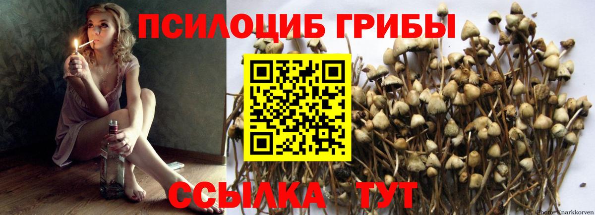Галлюциногенные грибы прущие грибы Джанкой